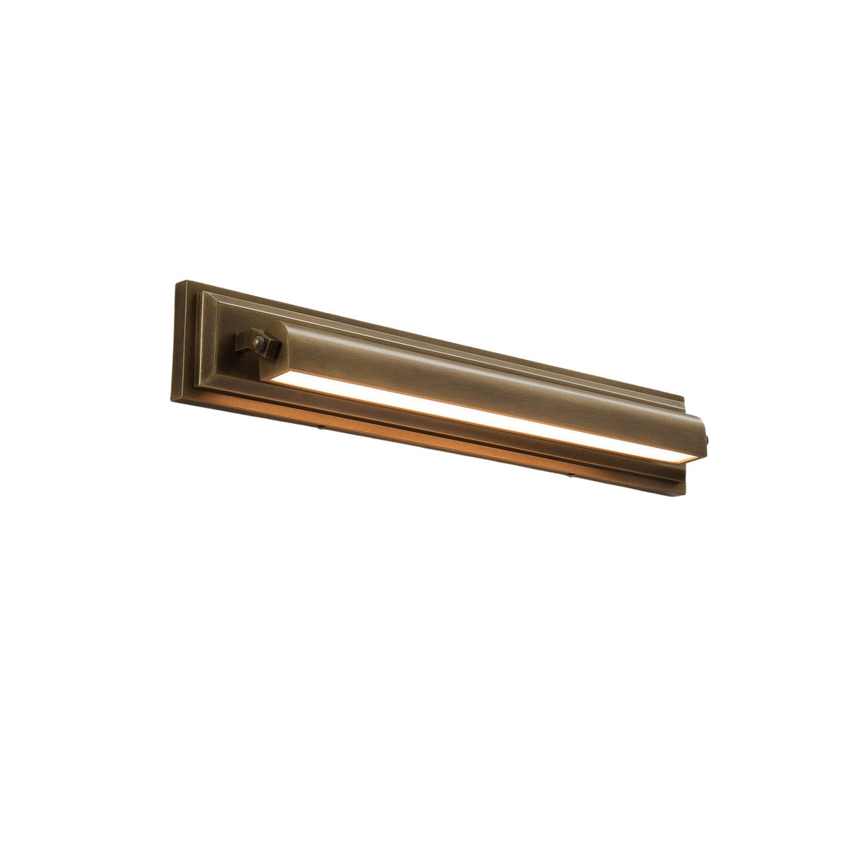 Canna Brass Wall Sconce