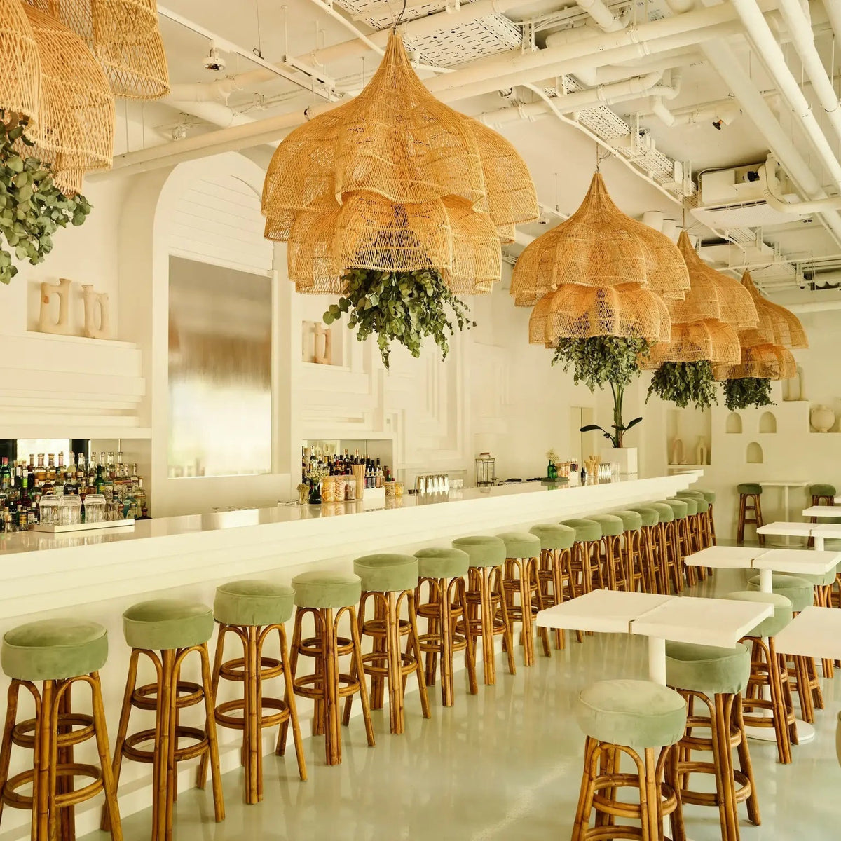 Albero Chandelier